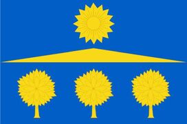 Флаг Солнечногорска