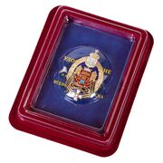 Войсковой знак Всевеликого войска Донского в наградной коробке с удостоверением в комплекте