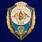 Знак Отличник ВДВ